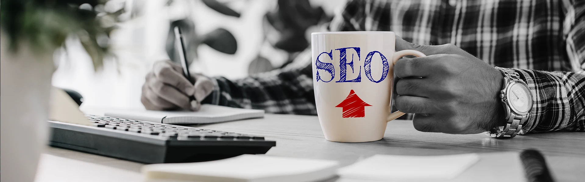 portada servicio seo