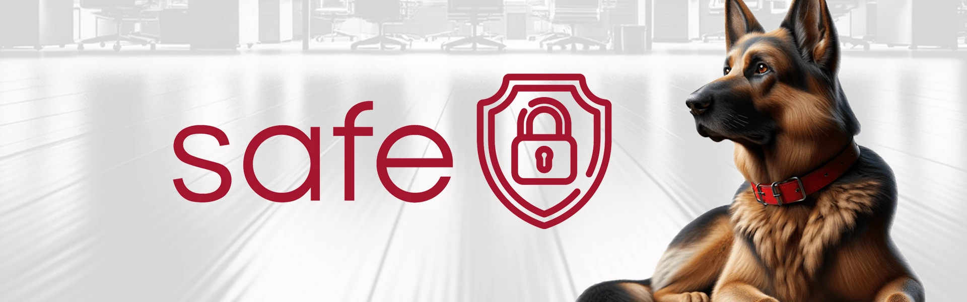 portada servicios safe